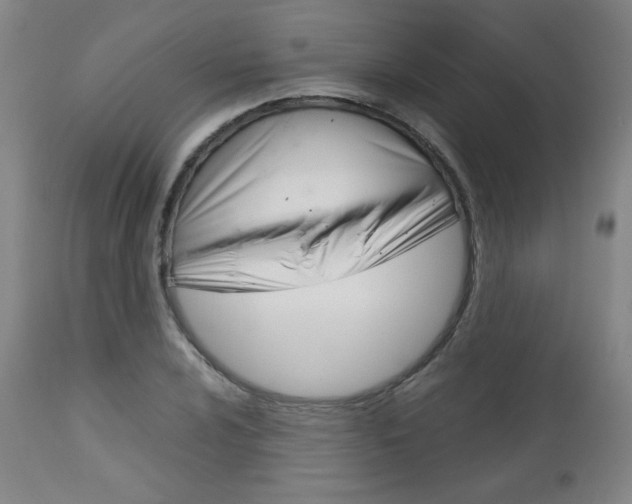 X0000113141024200909040952