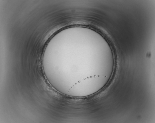 X0000113141025200909040952