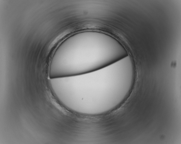 X0000113141026200909040952