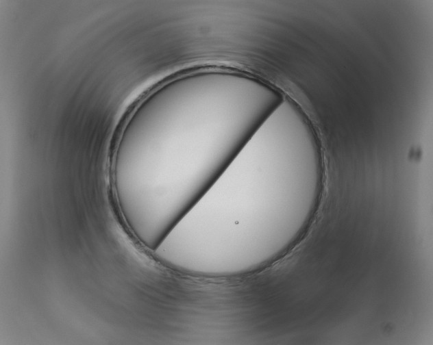 X0000113141028200909040952