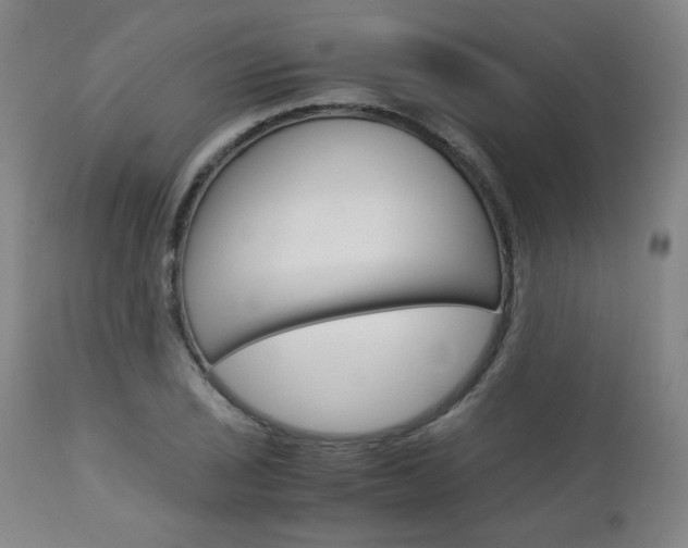 X0000113141029200909040952