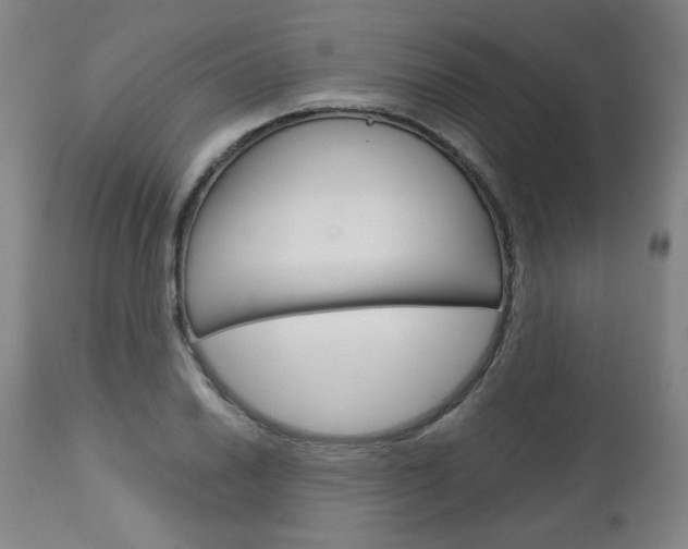 X0000113141030200909040952