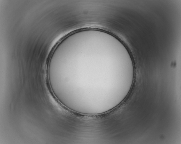 X0000113141032200909040952