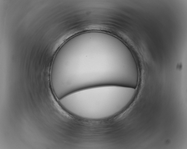 X0000113141033200909040952