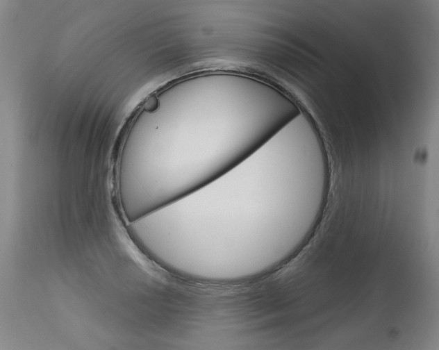 X0000113141034200909040952