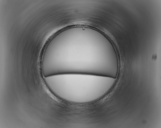 X0000113141037200909040953