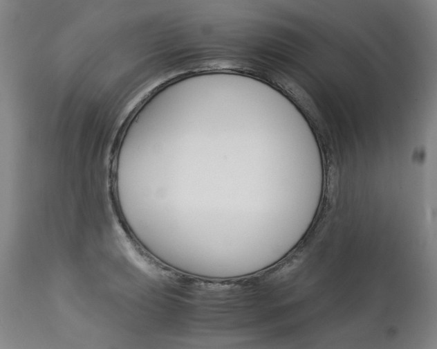 X0000113141039200909040953