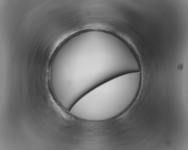 X0000113141040200909040953