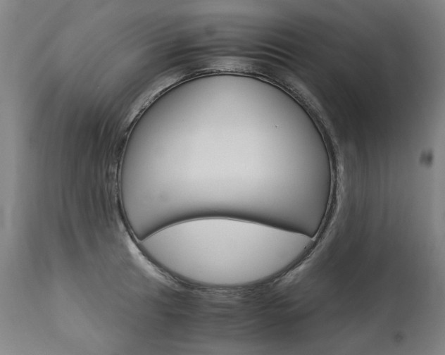 X0000113141041200909040953