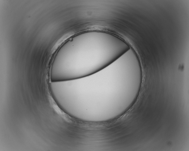 X0000113141042200909040953