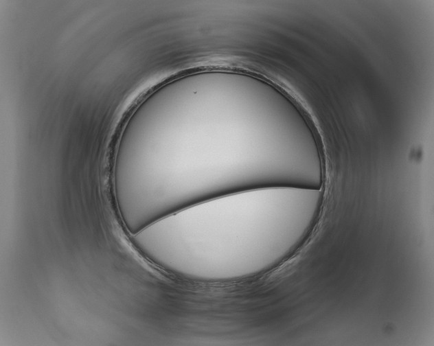 X0000113141045200909040953