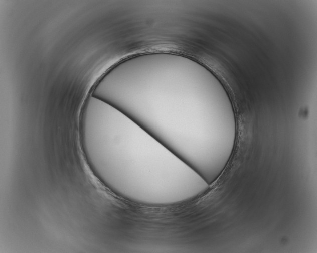 X0000113141047200909040953