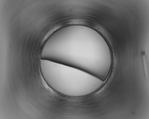 X0000113141049200909040953