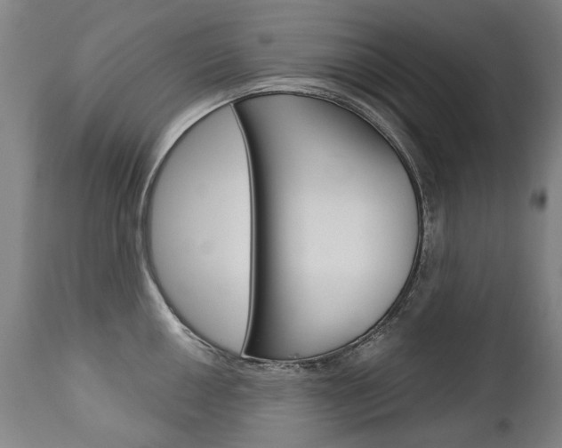 X0000113141050200909040953