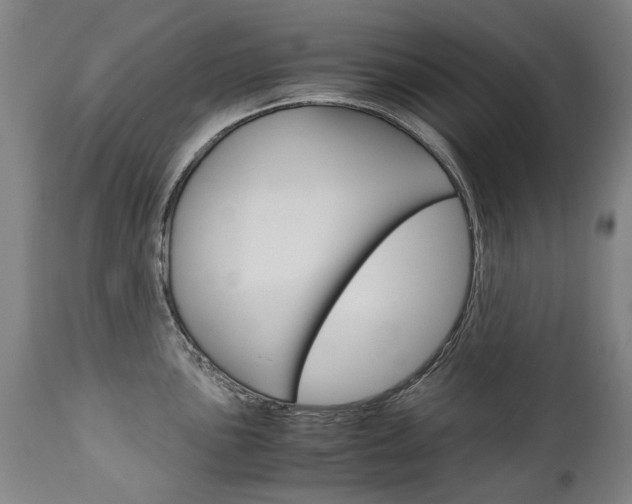 X0000113141051200909040953