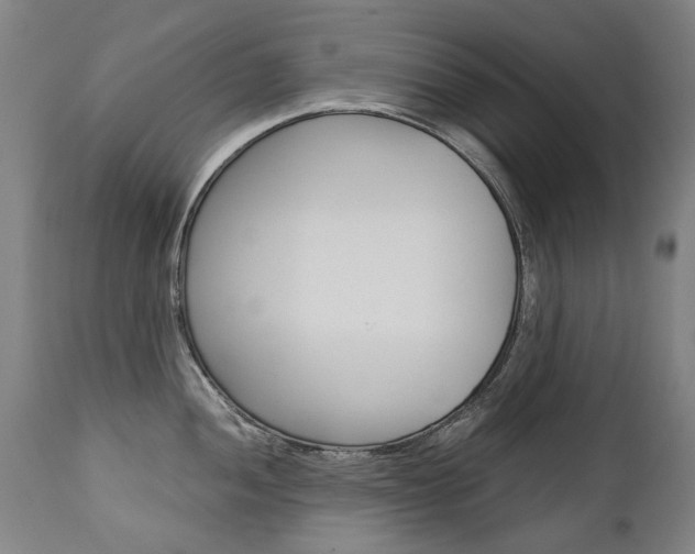 X0000113141052200909040953