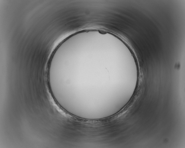 X0000113141053200909040953