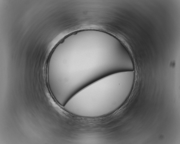 X0000113141054200909040953
