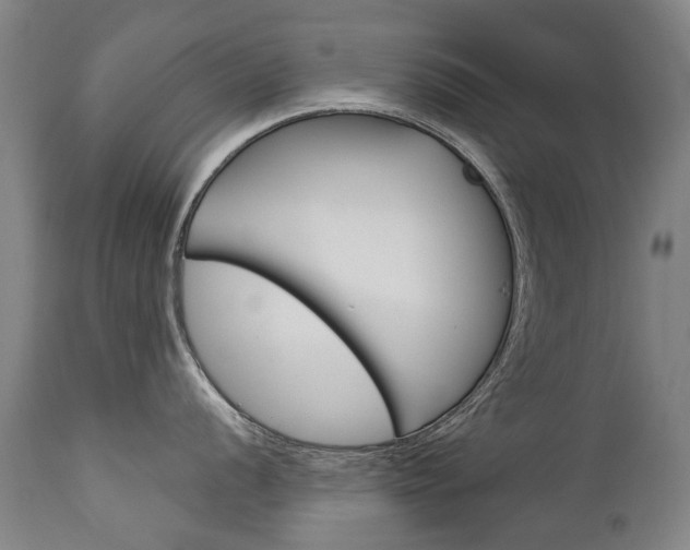 X0000113141056200909040953