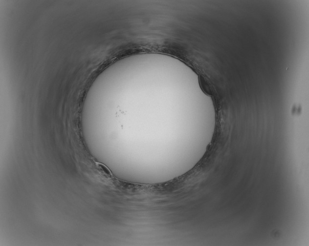 X0000113141057200909040952