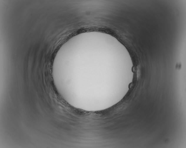 X0000113141059200909040952