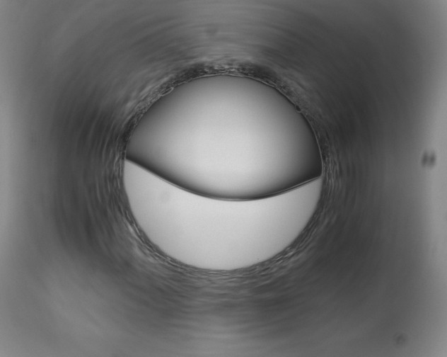 X0000113141060200909040952
