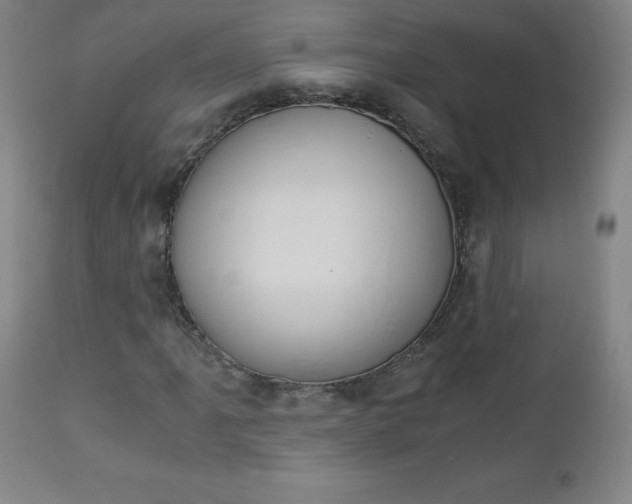 X0000113141061200909040952