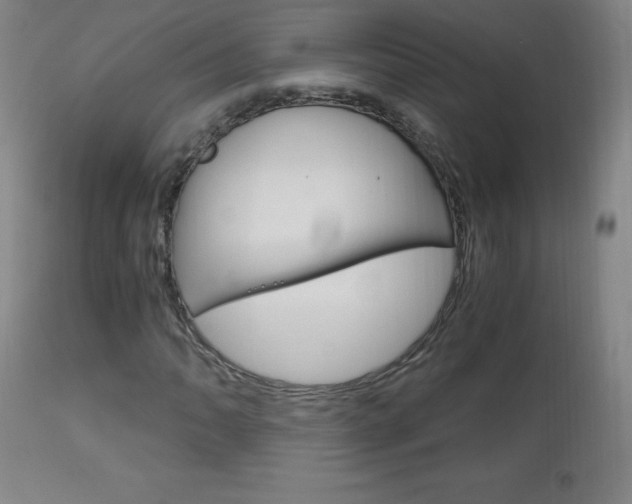 X0000113141062200909040952