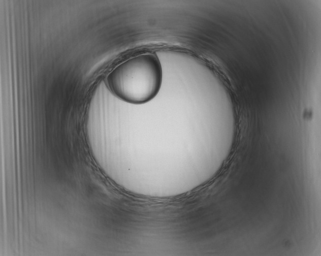 X0000113141064200909040952