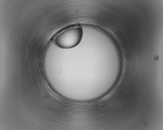 X0000113141065200909040952
