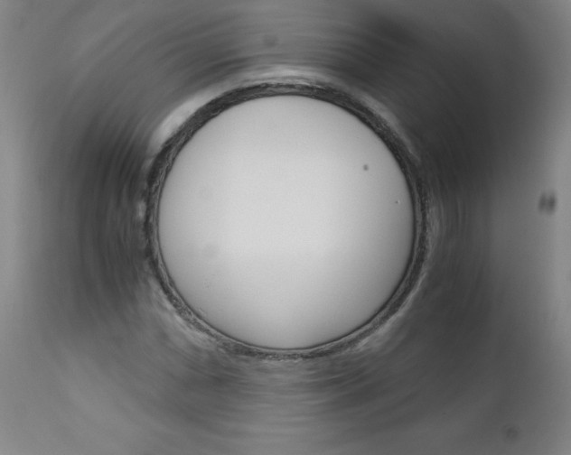 X0000113141066200909040952