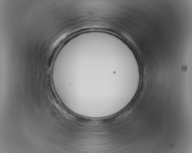 X0000113141067200909040952