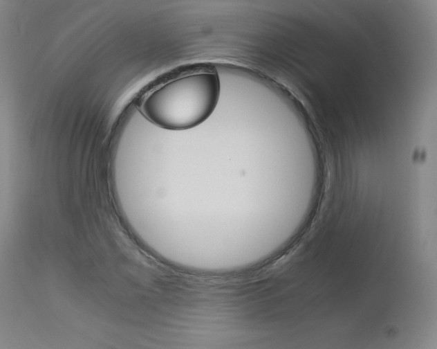 X0000113141069200909040952