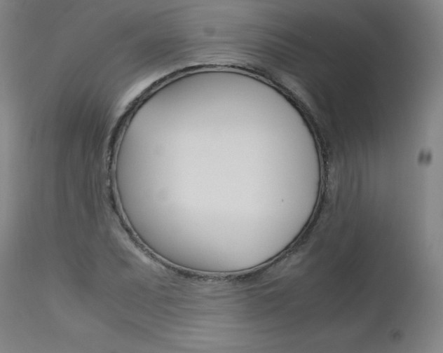 X0000113141071200909040952