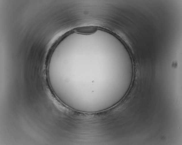 X0000113141072200909040952