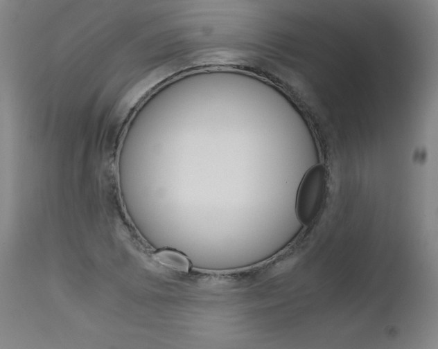 X0000113141073200909040952
