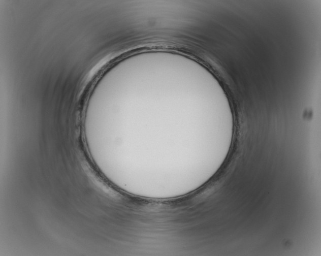 X0000113141075200909040952