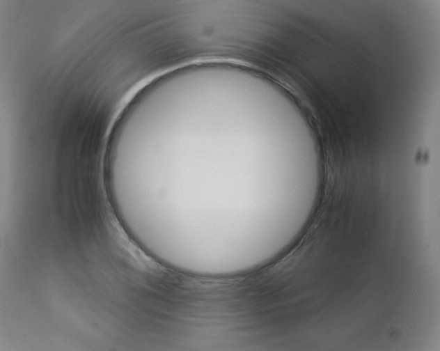 X0000113141076200909040952