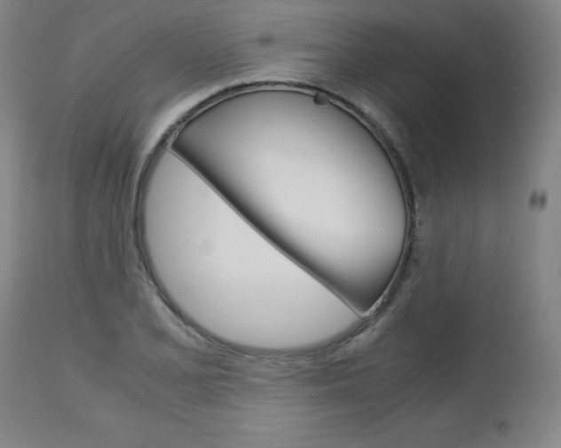 X0000113141077200909040952