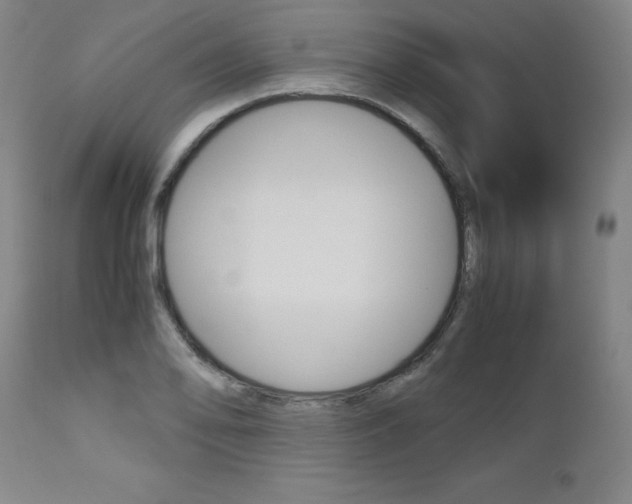 X0000113141078200909040952