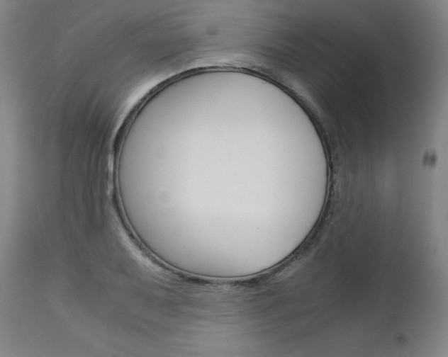 X0000113141079200909040952