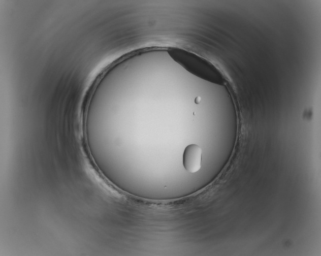 X0000113141080200909040952