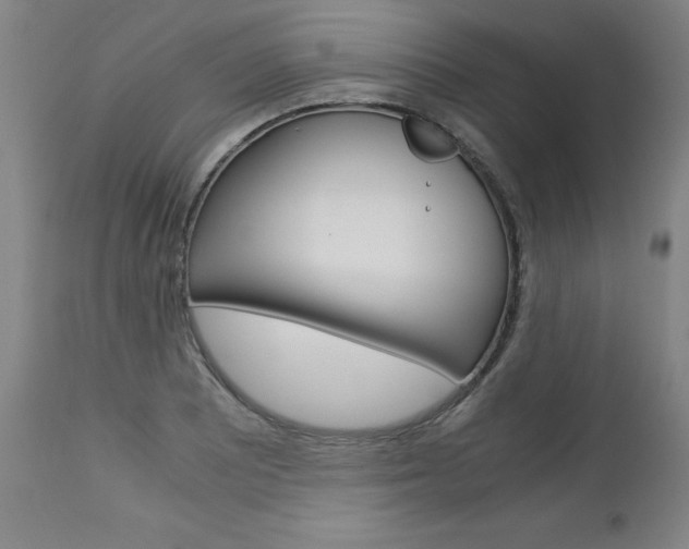 X0000113141081200909040952