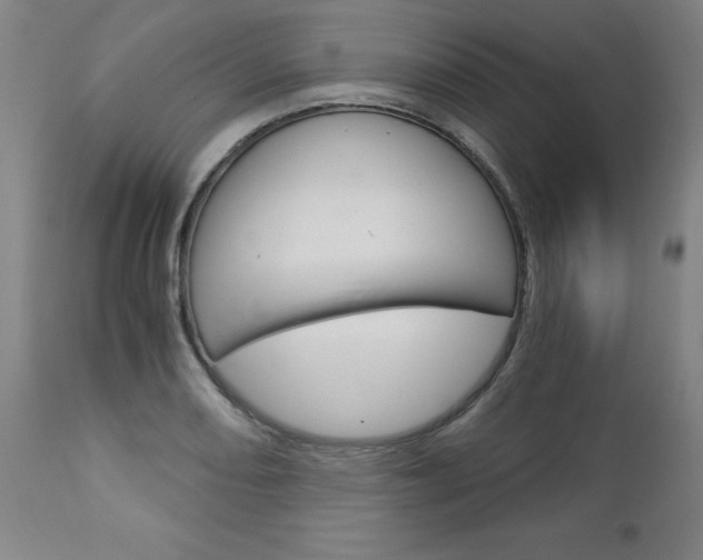X0000113141082200909040952