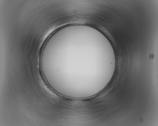 X0000113141083200909040952