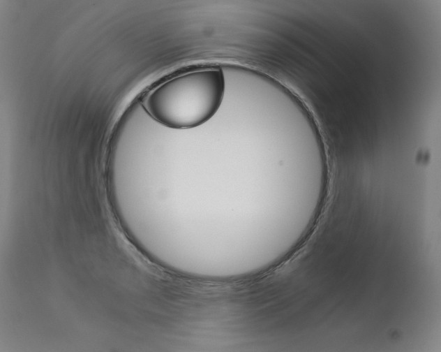 X0000113141085200909040952