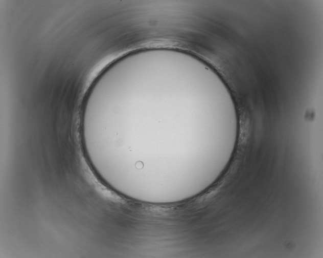 X0000113141086200909040952