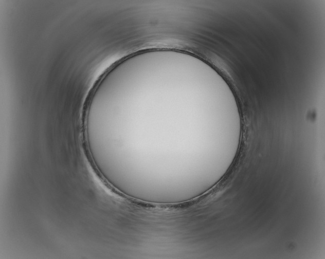 X0000113141087200909040952