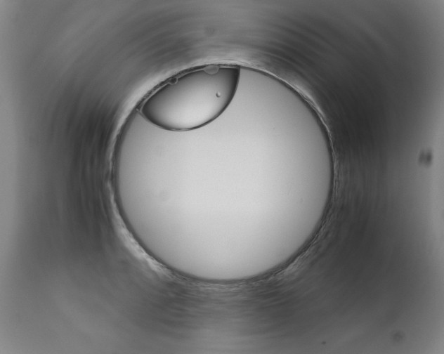 X0000113141088200909040952