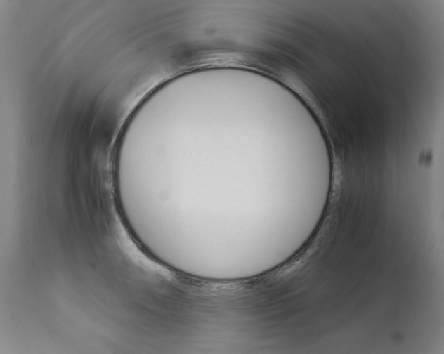 X0000113141090200909040951